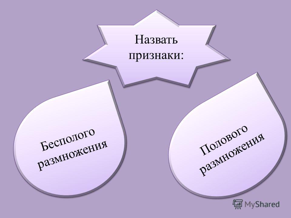 Как определить, что у вас грибок ногтей Жостовская роспись: как рисовать поэтапно и чем рисуют подносы