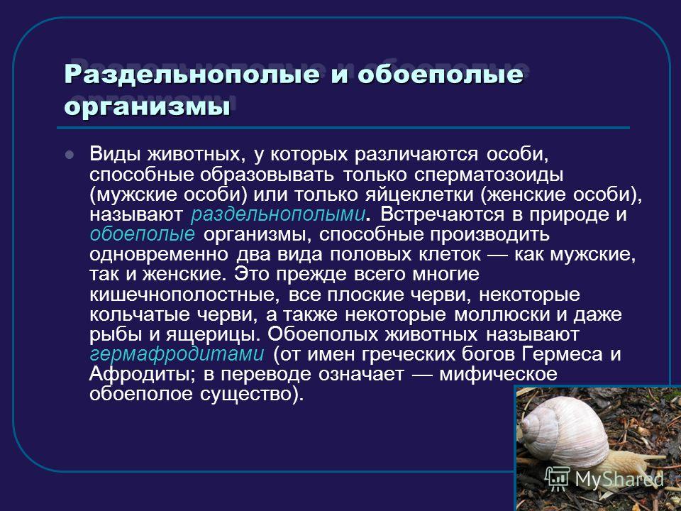 Презентация на тему "Размножение живых организмов" - скачать презентации по Биол