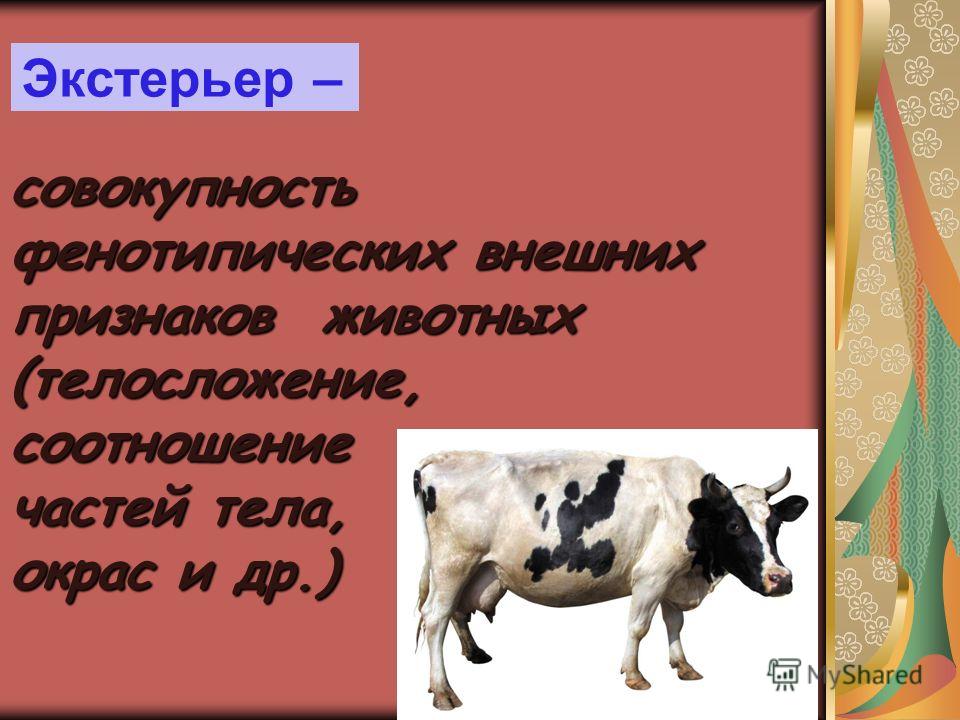 Как подстричься модно и чтобы было красиво Как подстричься модно и чтобы было красиво