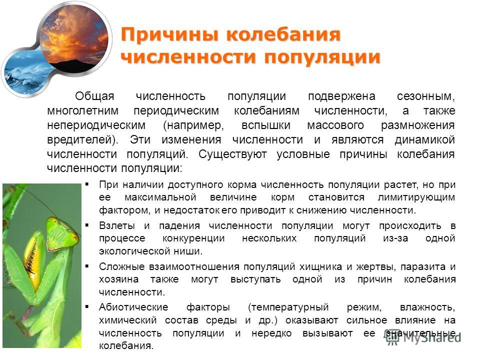 С численностью популяции связан фактор С численностью популяции связан фактор