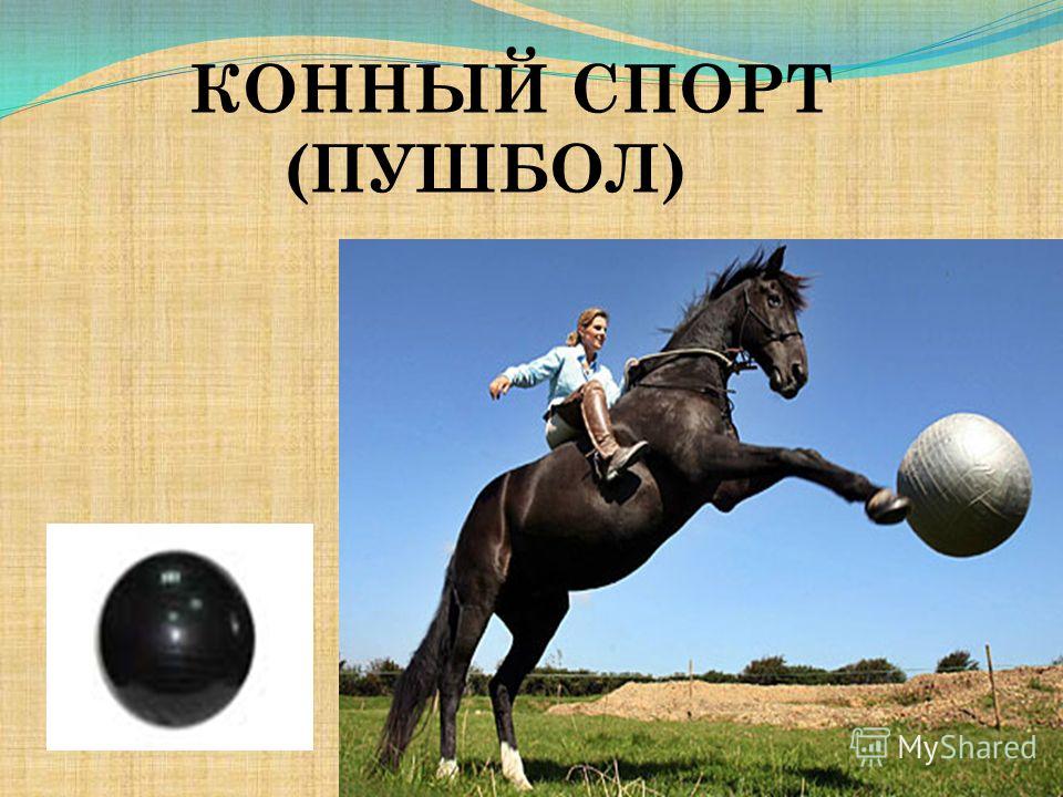 Конный мяч