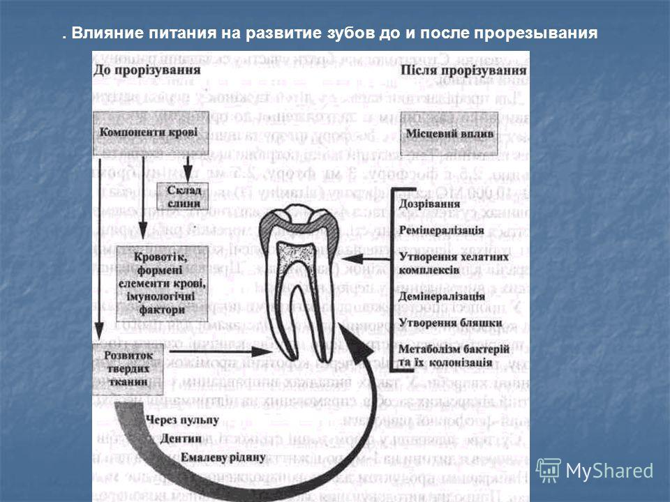 У ребенка чувствительность зубов У ребенка чувствительность зубов