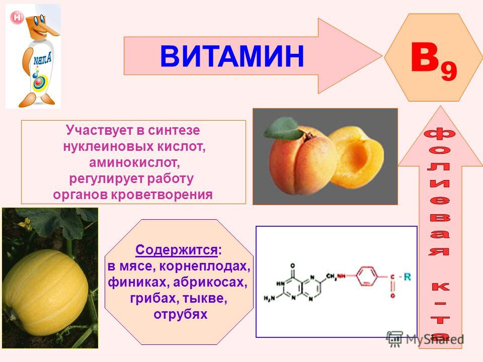 ВИТАМИН B9B9 Участвует в синтезе нуклеиновых кислот, аминокислот, регулирует работу органов кроветворения Содержится: в мясе, корнеплодах, финиках, абрикосах, грибах, тыкве, отрубях