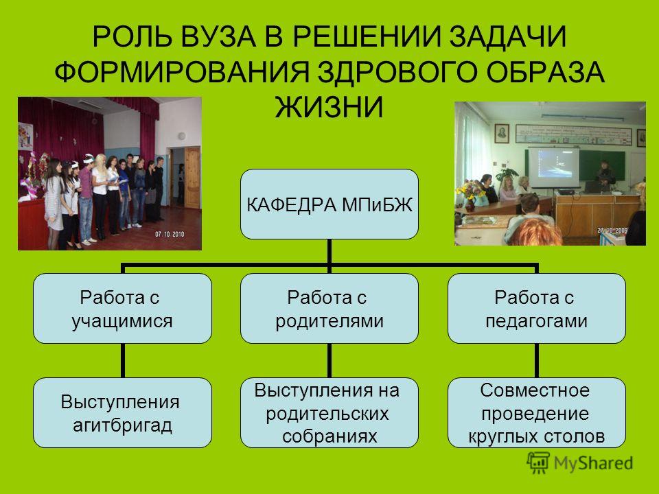Смена зубов у котят - симптомы, когда меняются зубы у кошек Ринопластика, пластика носа в Москве ринопластика цена и