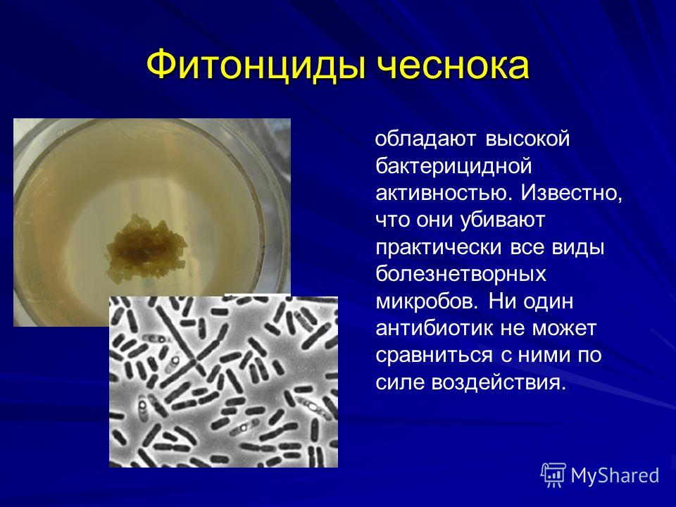 Антиэйджинговая терапия Антиэйджинговая терапия
