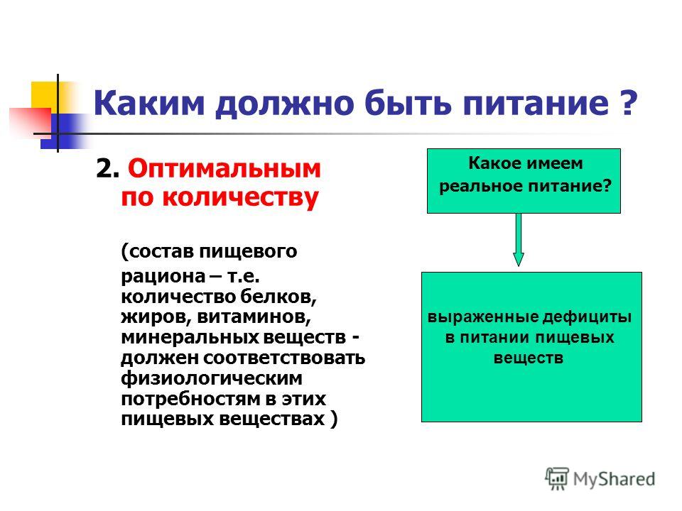 какое должно быть питание чтобы похудеть какое должно быть питание чтобы похудеть