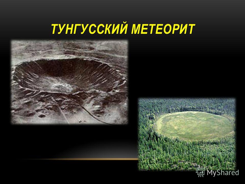 Фото последствий тунгусского метеорита