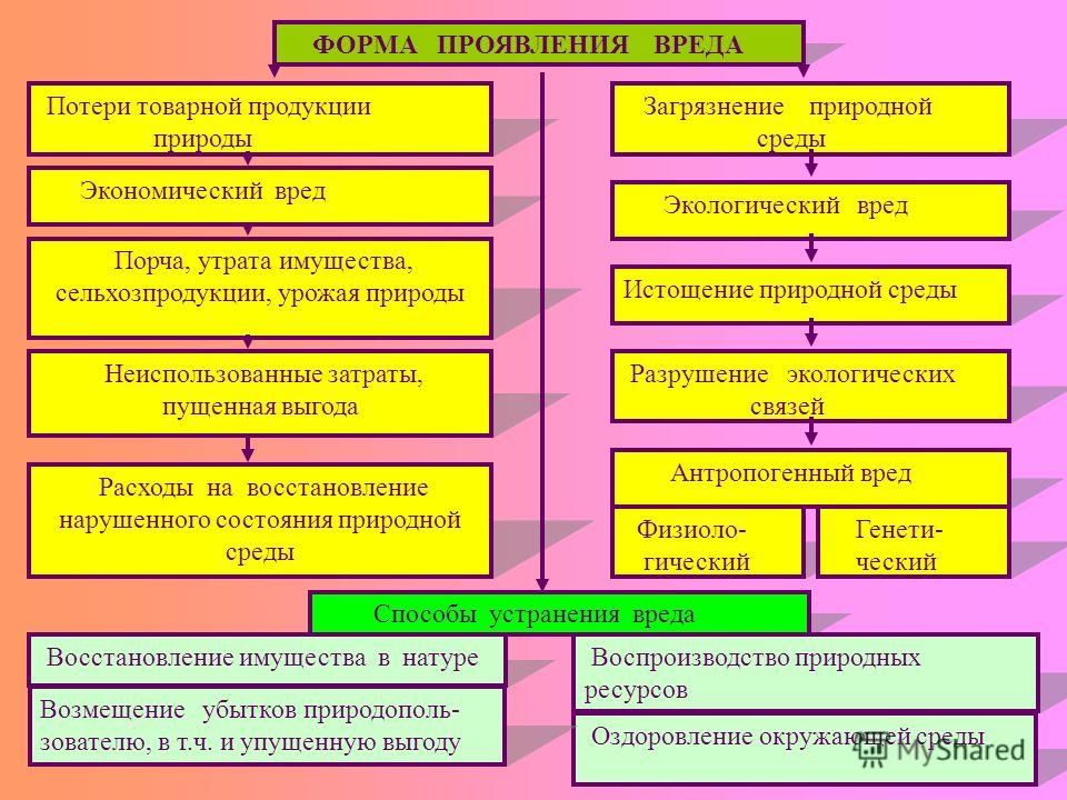мог Экономический ущерб природной среде известно, что