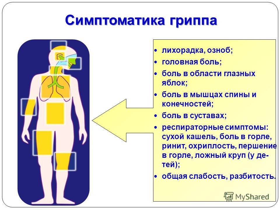 боль в мышцах ломота в суставах температура боль в мышцах ломота в суставах температура
