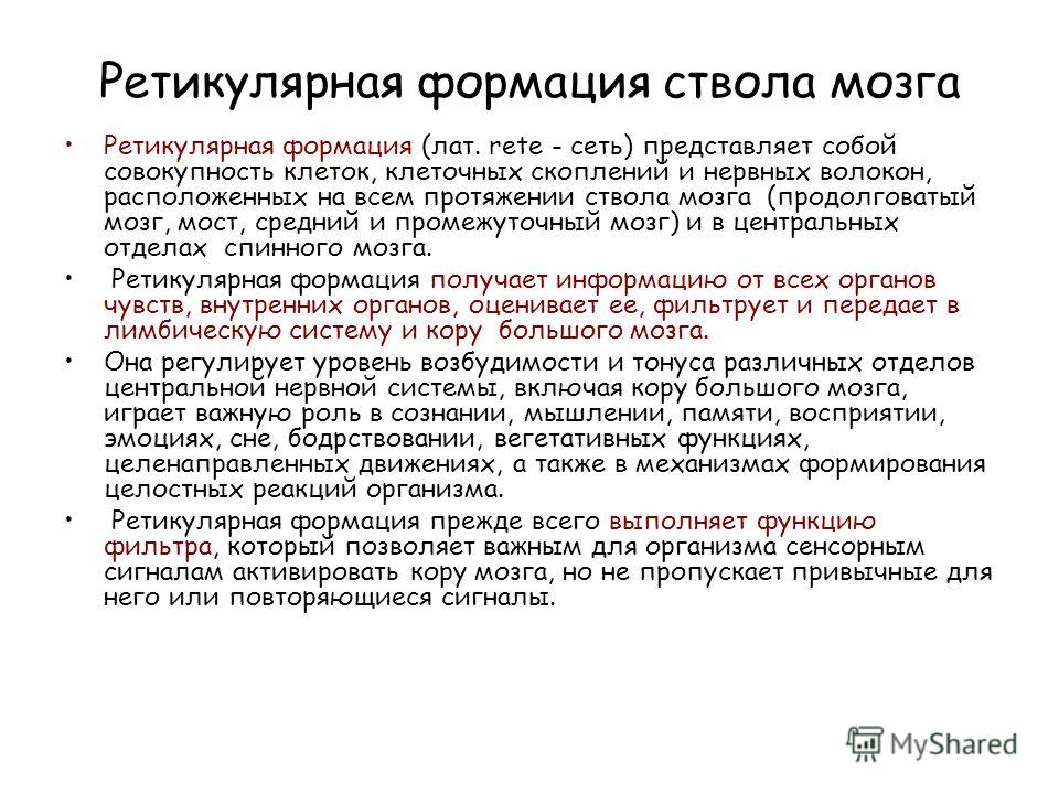 Реферат по теме Ретикулярная формация ствола головного мозга Реферат по теме Ретикулярная формация ствола головного мозга