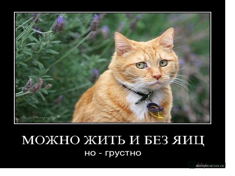 Дисскусии по теме: Как правильно распаривать лицо Дисскусии по теме: Как правильно распаривать лицо