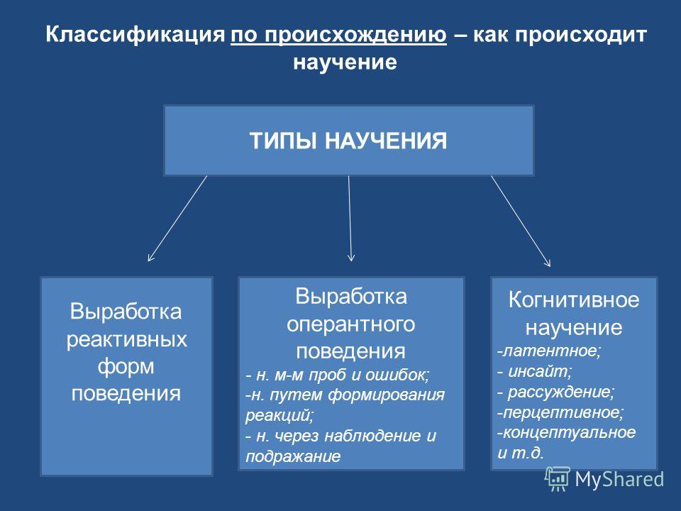 Запечатление как особый вид научения Запечатление как особый вид научения