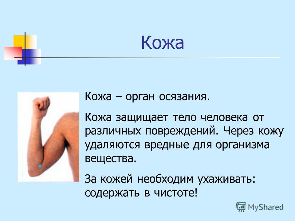 Блюда из творога 306 рецептов с фото. Что приготовить из Афоризмы про сказки Форум