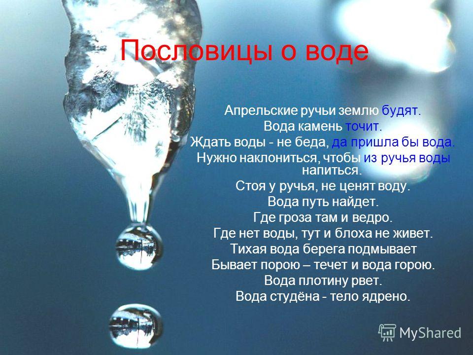 Презентация на тему жизнь в воде