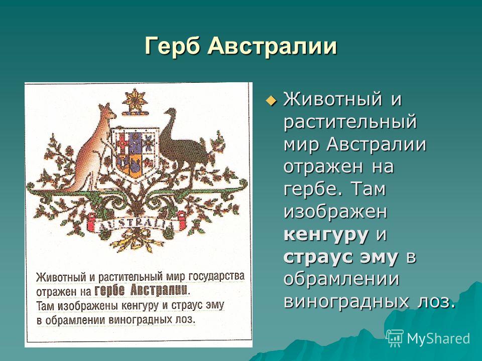Реферат: Аборигены Австралии Реферат: Аборигены Австралии