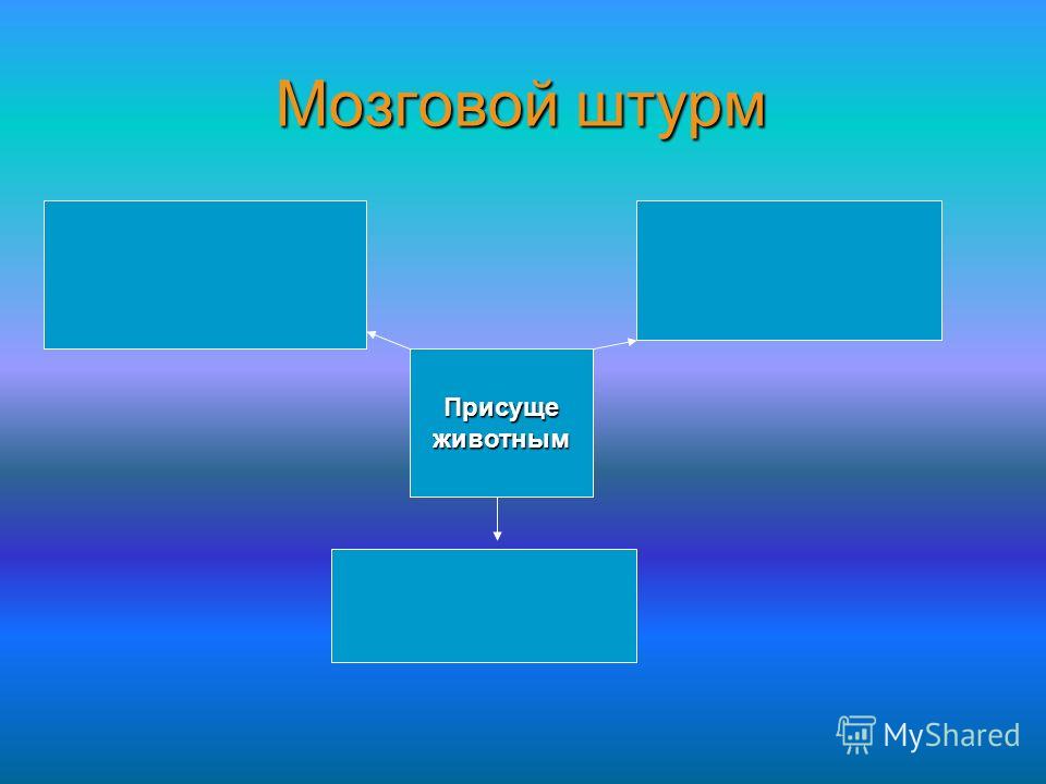 Эссе по высказыванию соловьева человек существо социальное 2855