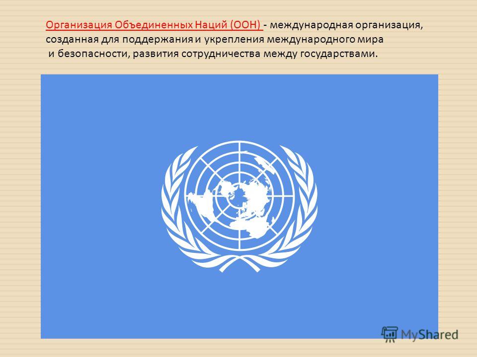 Дипломная работа: Система защиты прав человека в рамках ООН и ОБСЕ