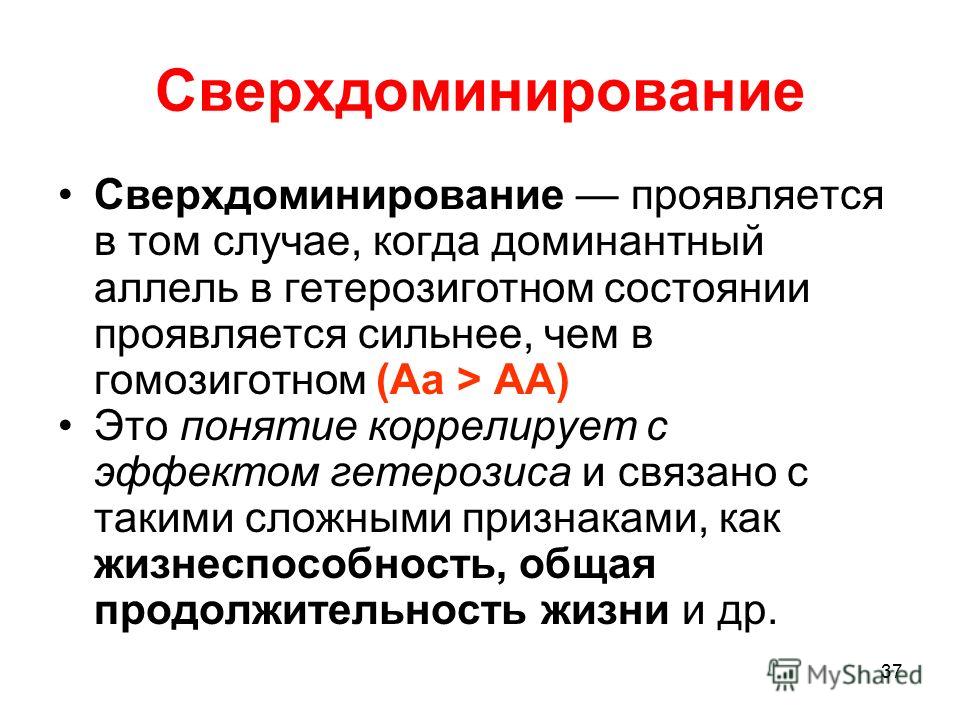 Женские брюки выкройка пошаговая инструкция Женские брюки выкройка пошаговая инструкция
