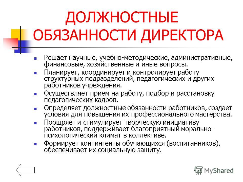 должностные обязанности заместителя директора магазина пятёрочка должностные обязанности заместителя директора магазина пятёрочка