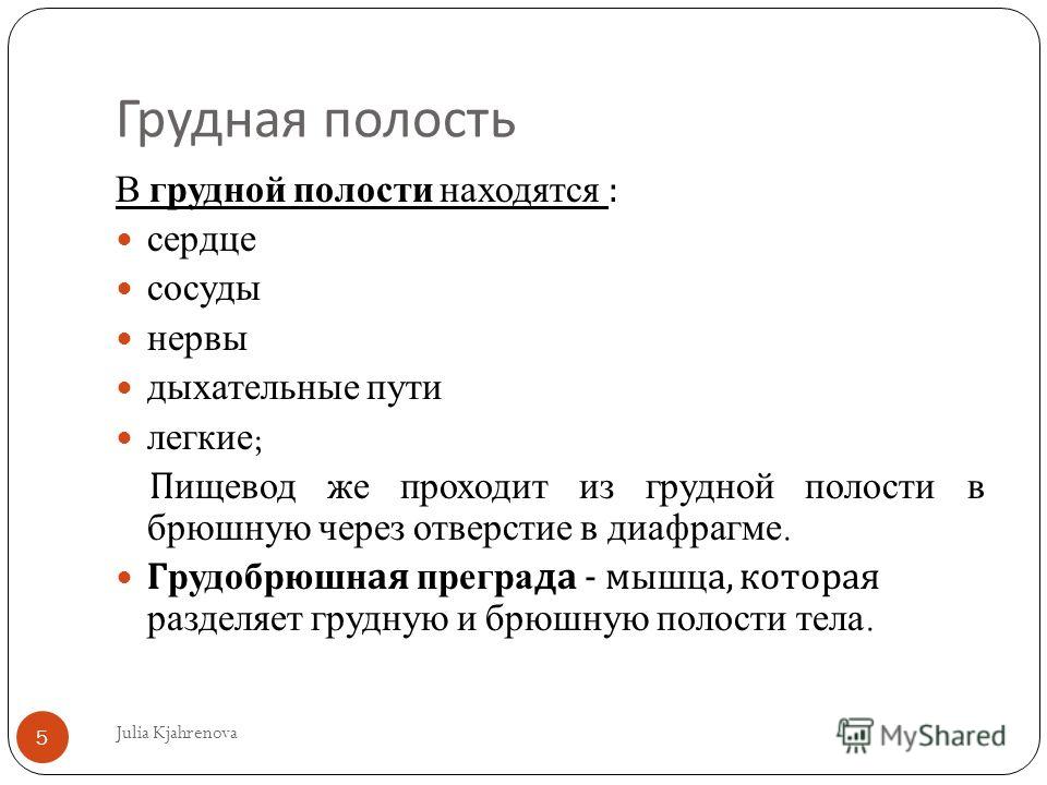 Фото Полостей Человека Фото Полостей Человека