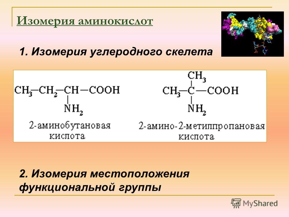 Изомеры положения функциональной группы примеры