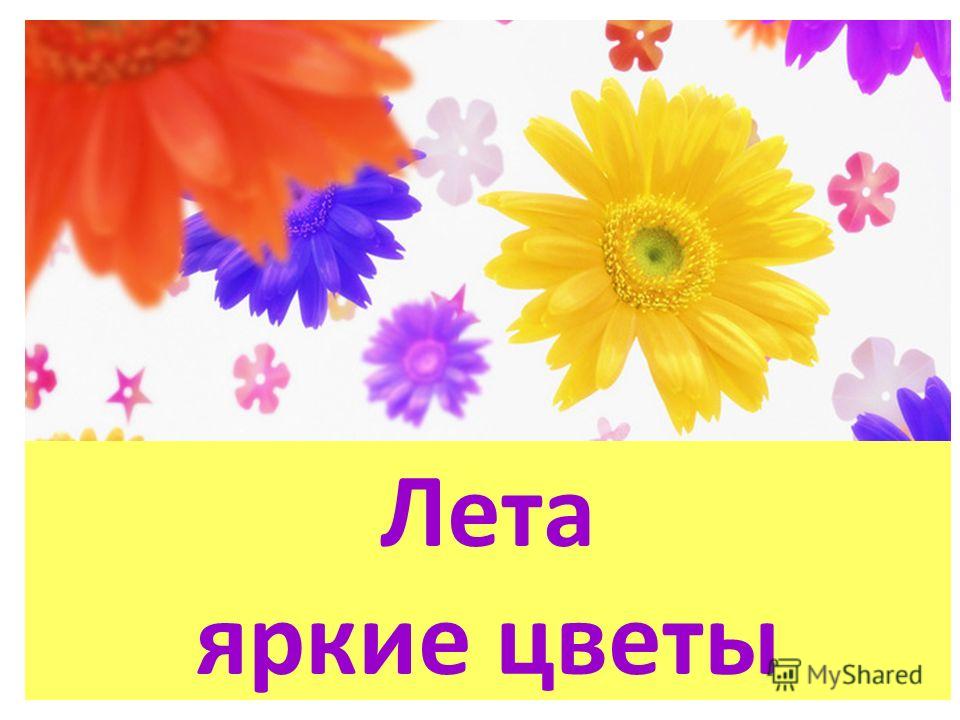 Самые яркие цветов 46 Самые яркие цветов 22