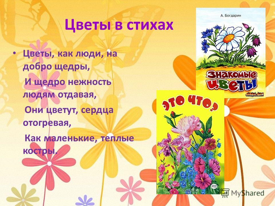 Реклама цветов стих Реклама цветов стих