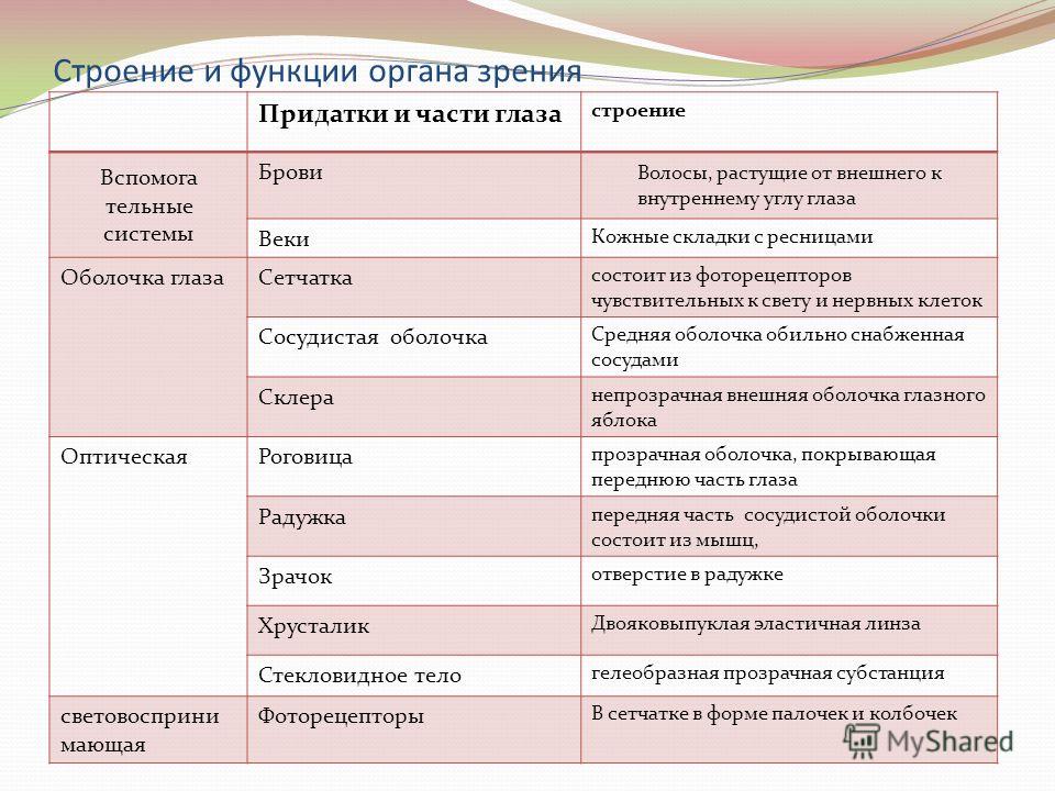 Строение 191 Строение 510