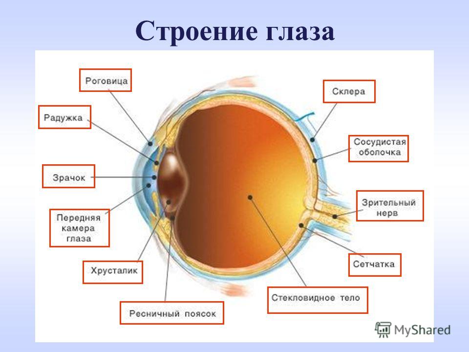 Схема вышивки мир Схема вышивки мир