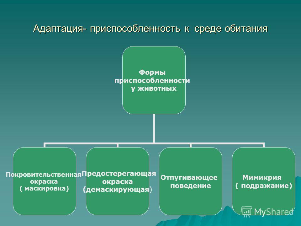 Поведение как форма адаптации организмов реферат 2693