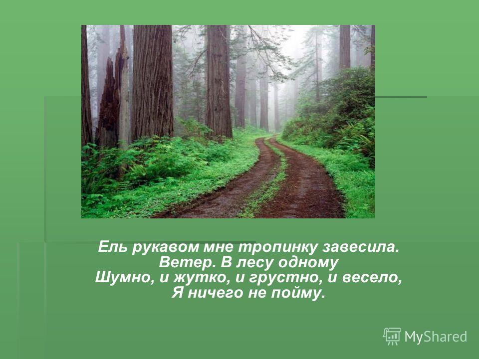 Стих фета если рукавом мне тропинку завесила Стих фета если рукавом мне тропинку завесила