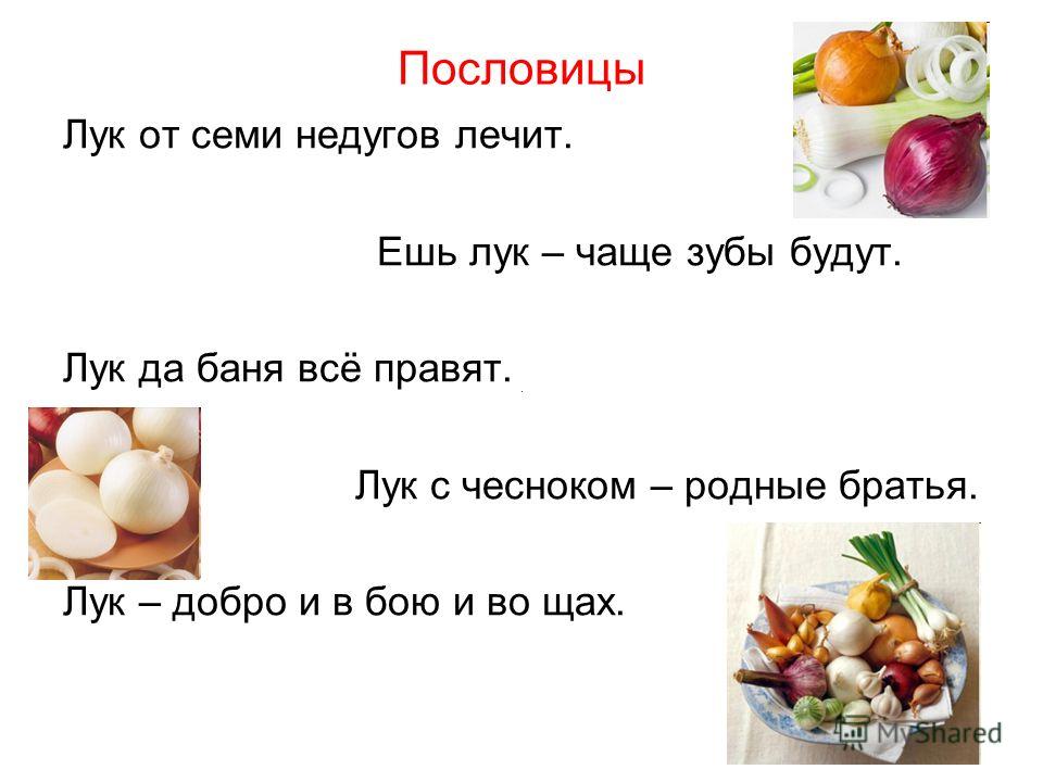 45Пословица про чеснок