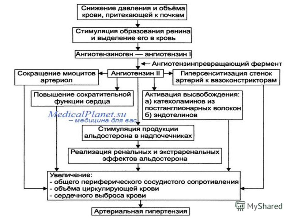 Таблетки от давления валз отзывы врачей