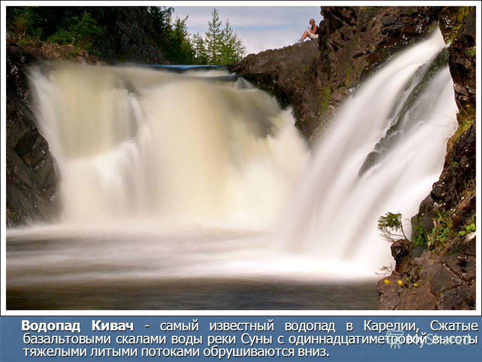 Водопад Кивач - самый известный водопад в Карелии, Сжатые базальтовыми скалами воды реки Суны с одиннадцатиметровой высоты тяжелыми литыми потоками обрушиваются вниз. Водопад Кивач - самый известный водопад в Карелии, Сжатые базальтовыми скалами воды