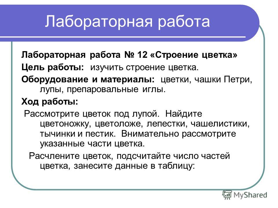 Лабораторная работа «Строение и функции цветка» - биология Лабораторная работа по теме Цветок - Инфоурок
