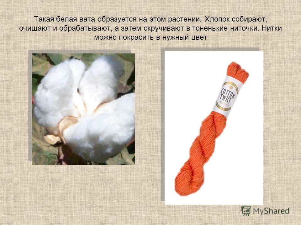 Как сделать хлопчатобумажную ткань 831