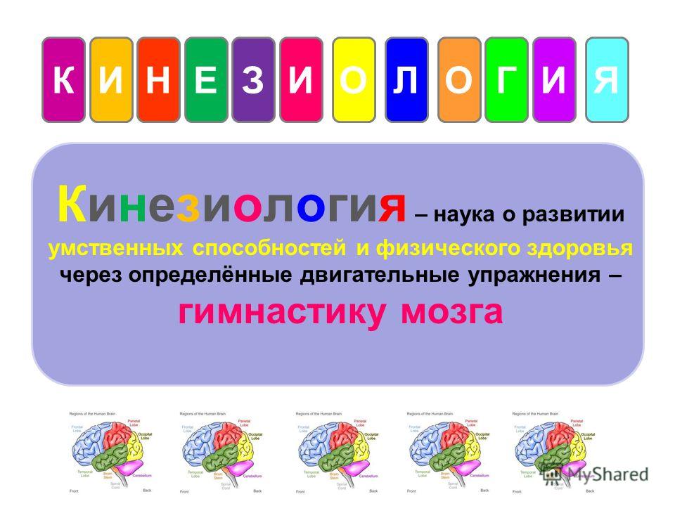 download Modern Medicines: The Discovery and Development