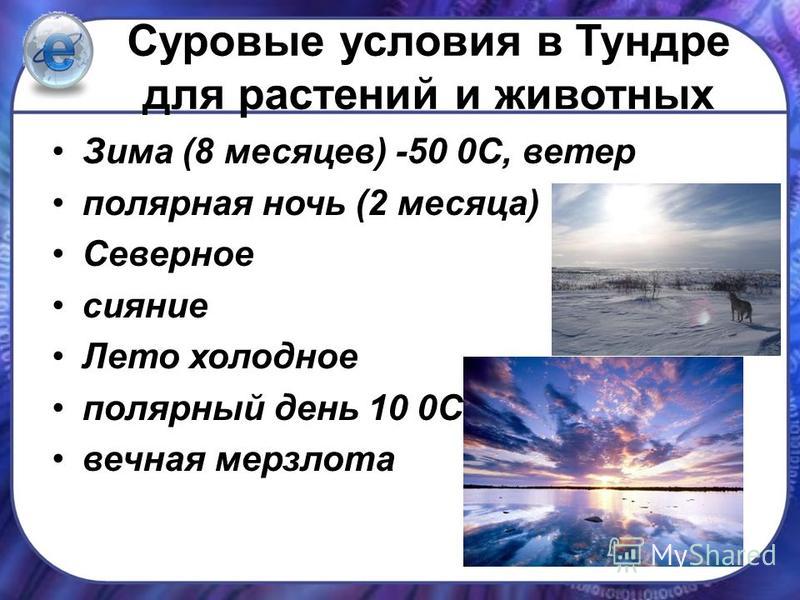 Зима (8 месяцев) -50 0С, ветер полярная ночь (2 месяца) Северное сияние Лето холодное полярный день 10 0С вечная мерзлота