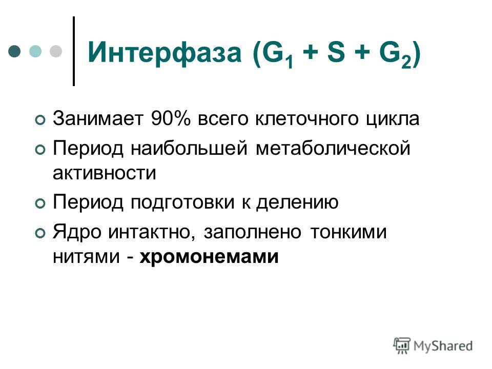 Презентация Жизненный Цикл Клетки Презентация Жизненный Цикл Клетки