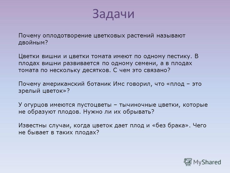 Листовка это плод чего Листовка это плод чего