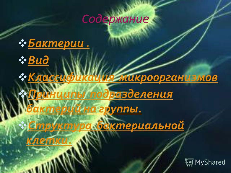 Презентация По Микробиологии На Тему Бактерии Скачать Презентация По Микробиологии На Тему Бактерии Скачать