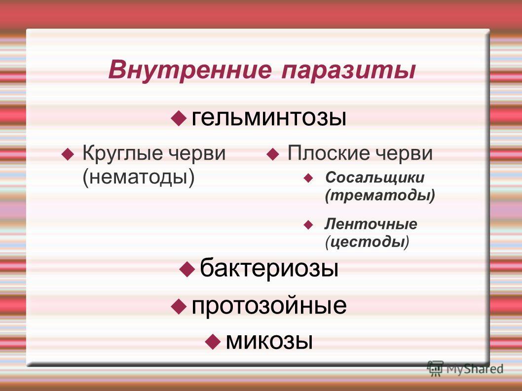 внутренние паразиты человека внутренние паразиты человека