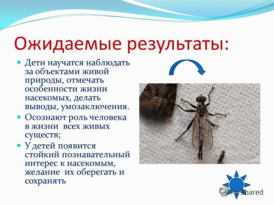 Книги незнанского читать