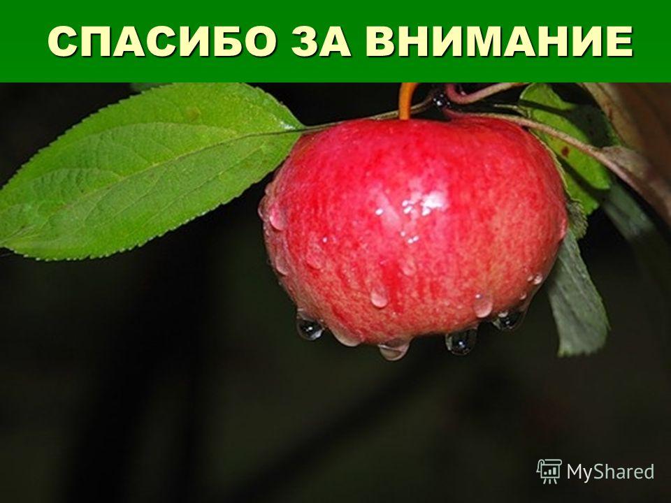 Гипотрофия у детей раннего возраста: 1, 2 и 3 степени (лечение) Гипотрофия у детей раннего возраста: 1, 2 и 3 степени (лечение)