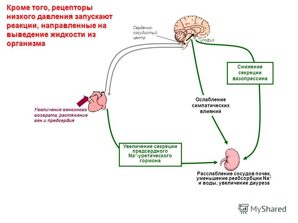 мажьте грудь детским кремом мажьте грудь детским кремом