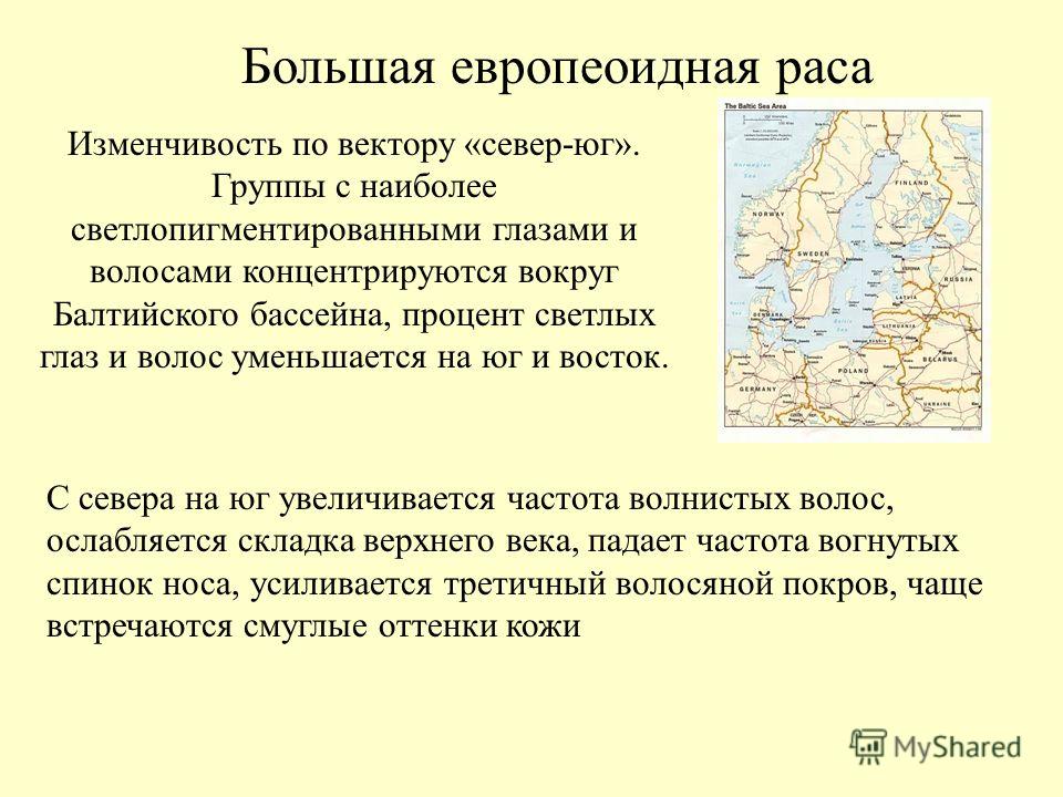 Складка кожи верхнего века Складка кожи верхнего века
