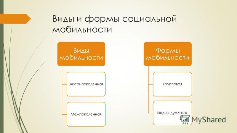 Социальная Мобильность Миграция И Маргинальность Эссе Социальная Мобильность Миграция И Маргинальность Эссе