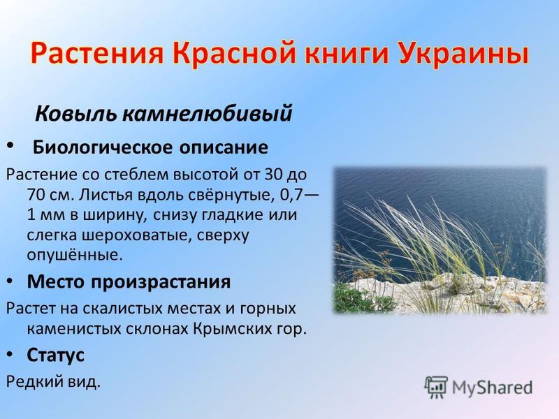 Красная книга украины животные скачать