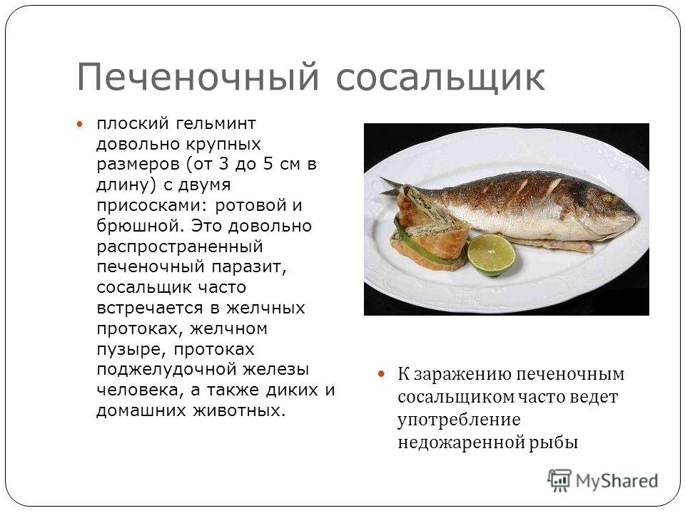 паразиты полных людей паразиты полных людей