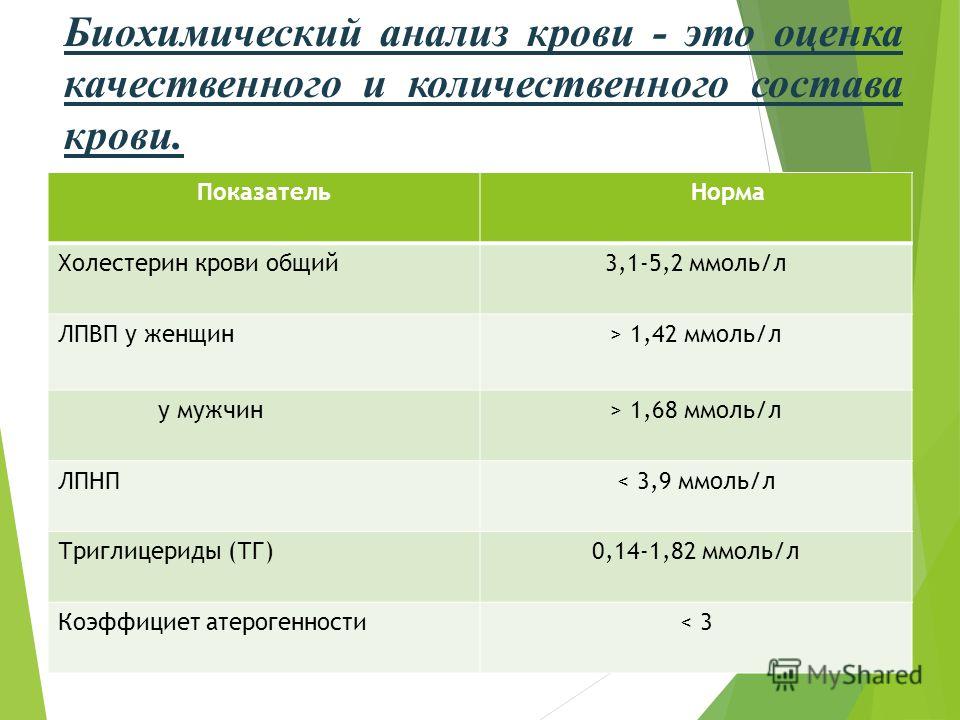 Как очистить сосуды от холестерина и бляшек народными средствами